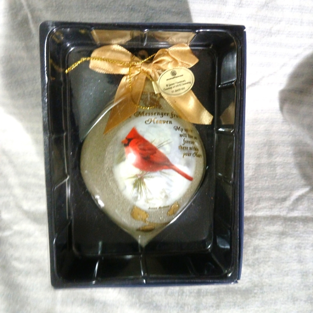 Christmas illuminated Ornament "Illuminated Messanger " NIB BEAUTIFUL